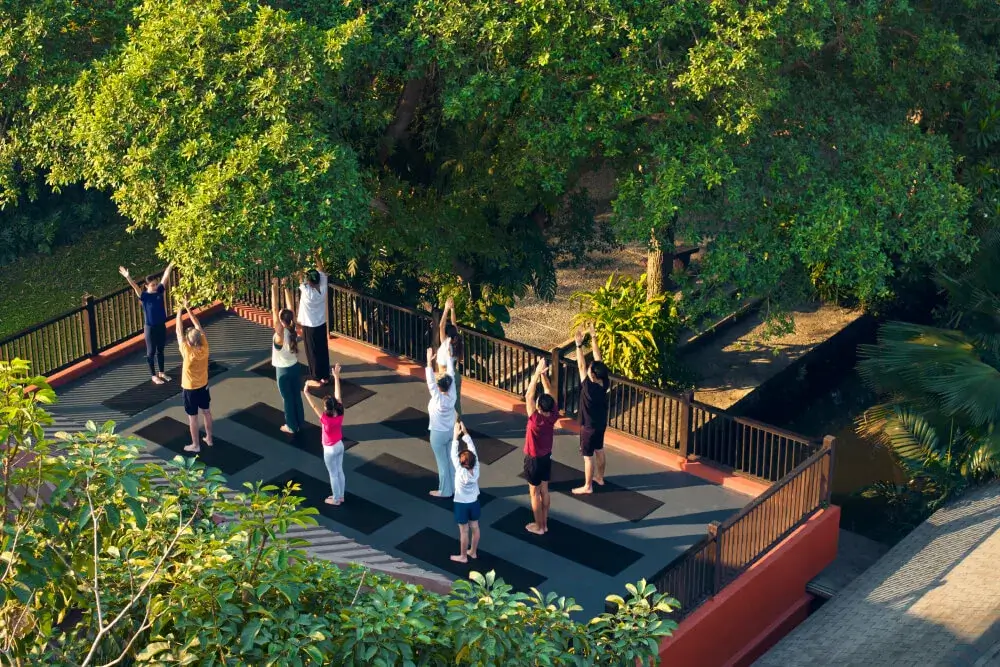 Comprehensive Care at a Leading Wellness Retreat in Thailand