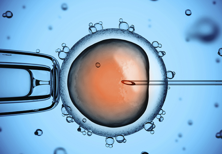 IVF with donor eggs