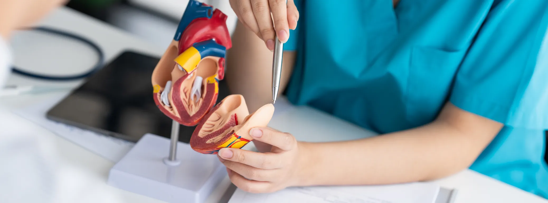 Cardiothoracic and Vascular Surgery at Medicana Health Group